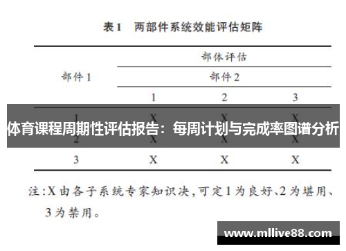 体育课程周期性评估报告：每周计划与完成率图谱分析