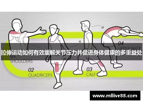 拉伸运动如何有效缓解关节压力并促进身体健康的多重益处